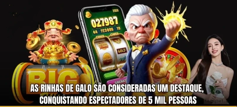 Interface do cassino ao vivo